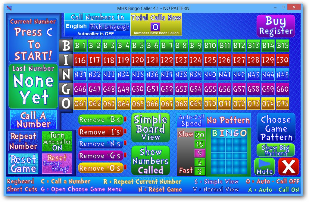 bingo caller software
